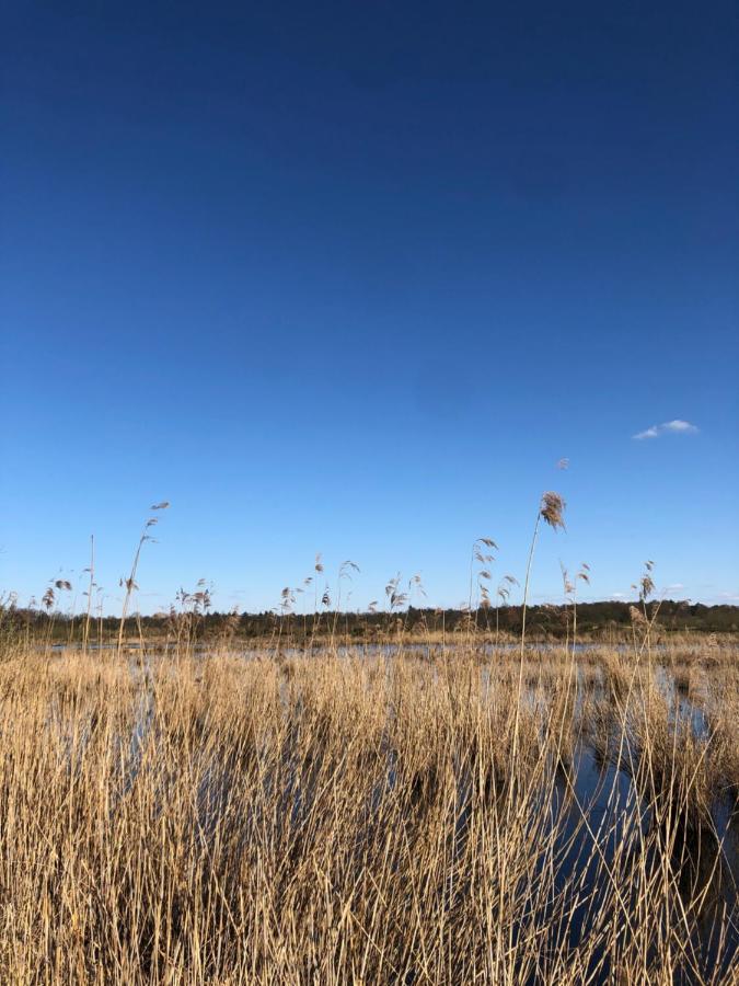 Beldershoek